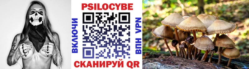 Галлюциногенные грибы GOLDEN TEACHER  где можно купить наркотик  мега сайт  Рудня 